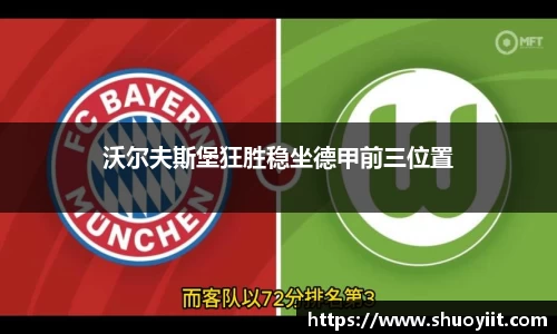 沃尔夫斯堡狂胜稳坐德甲前三位置
