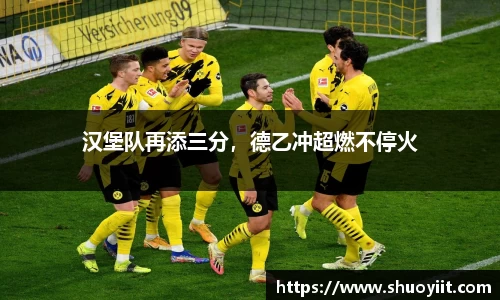 汉堡队再添三分，德乙冲超燃不停火