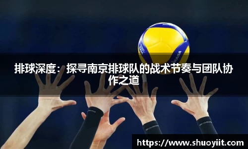 排球深度：探寻南京排球队的战术节奏与团队协作之道