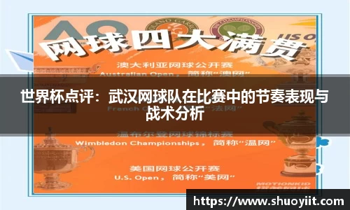 世界杯点评：武汉网球队在比赛中的节奏表现与战术分析