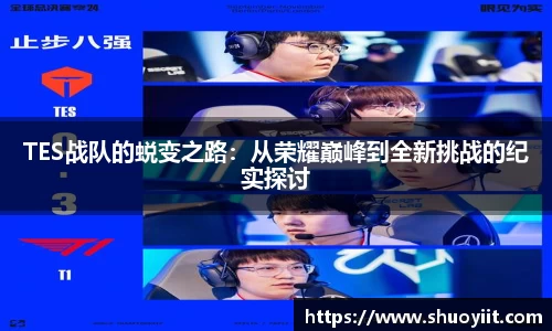 TES战队的蜕变之路：从荣耀巅峰到全新挑战的纪实探讨