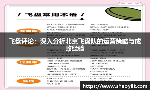 飞盘评论：深入分析北京飞盘队的运营策略与成败经验