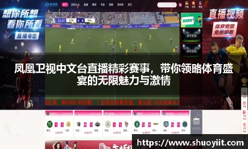 凤凰卫视中文台直播精彩赛事，带你领略体育盛宴的无限魅力与激情