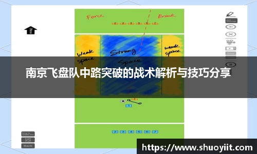 南京飞盘队中路突破的战术解析与技巧分享