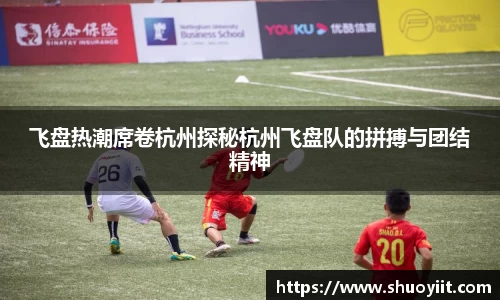 飞盘热潮席卷杭州探秘杭州飞盘队的拼搏与团结精神