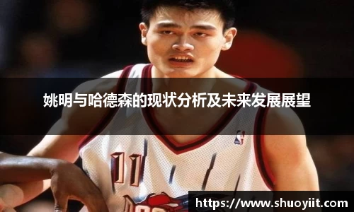 姚明与哈德森的现状分析及未来发展展望