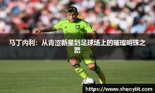 马丁内利：从青涩新星到足球场上的璀璨明珠之路