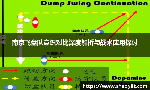 南京飞盘队意识对比深度解析与战术应用探讨