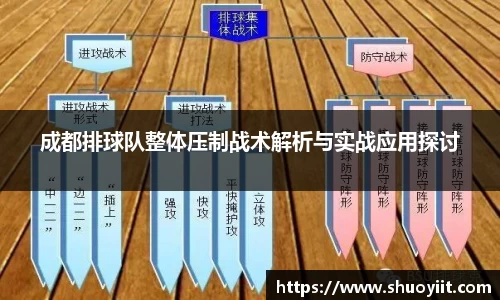 成都排球队整体压制战术解析与实战应用探讨