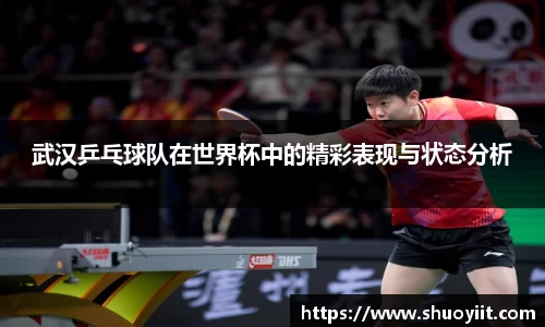 武汉乒乓球队在世界杯中的精彩表现与状态分析