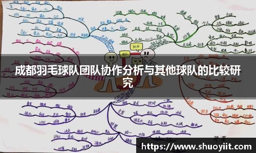 成都羽毛球队团队协作分析与其他球队的比较研究
